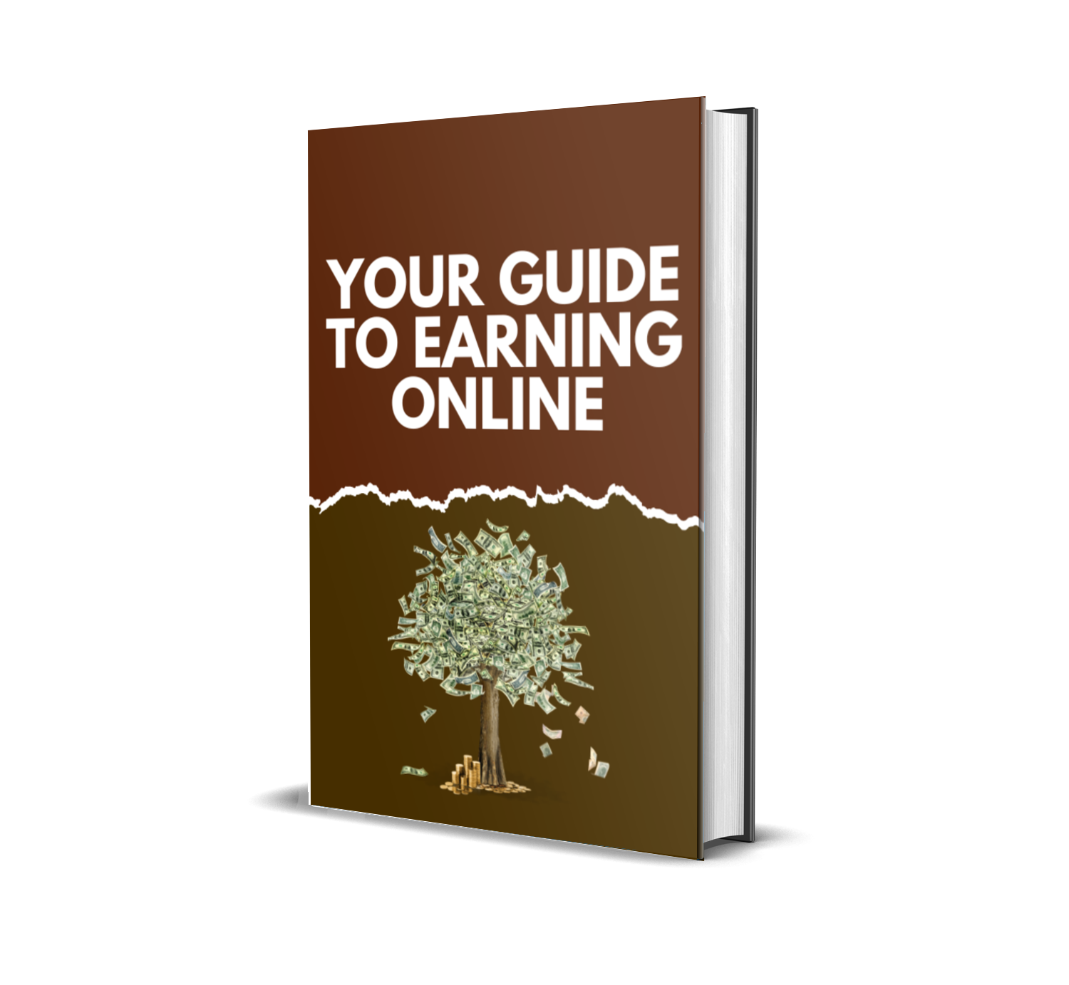 From Zero to Profit: Your Guide to Earning Online